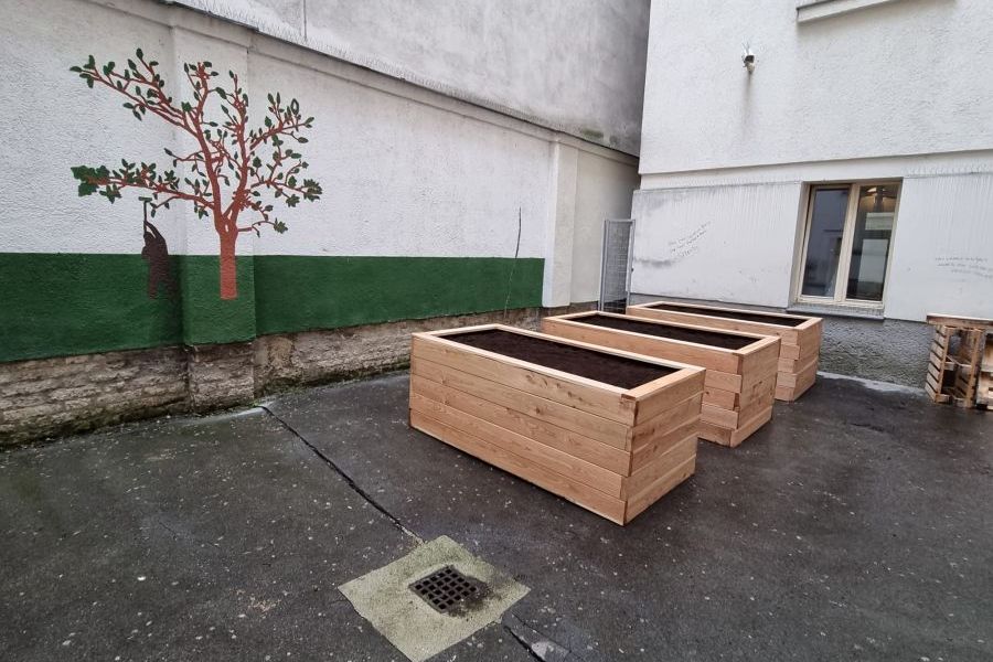 School farm - raised beds